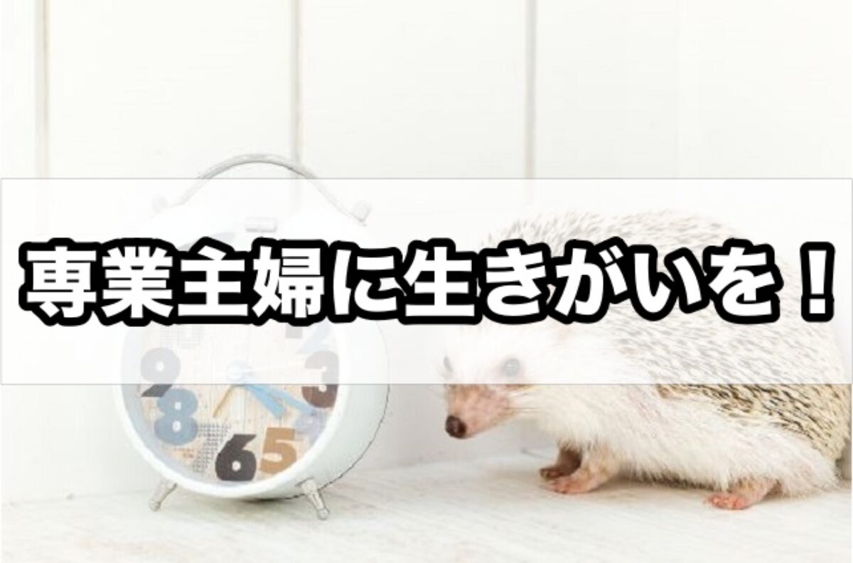 専業主婦は暇すぎる 子なし 子ありのスケジュールで比較してみた だてっちofficialblog